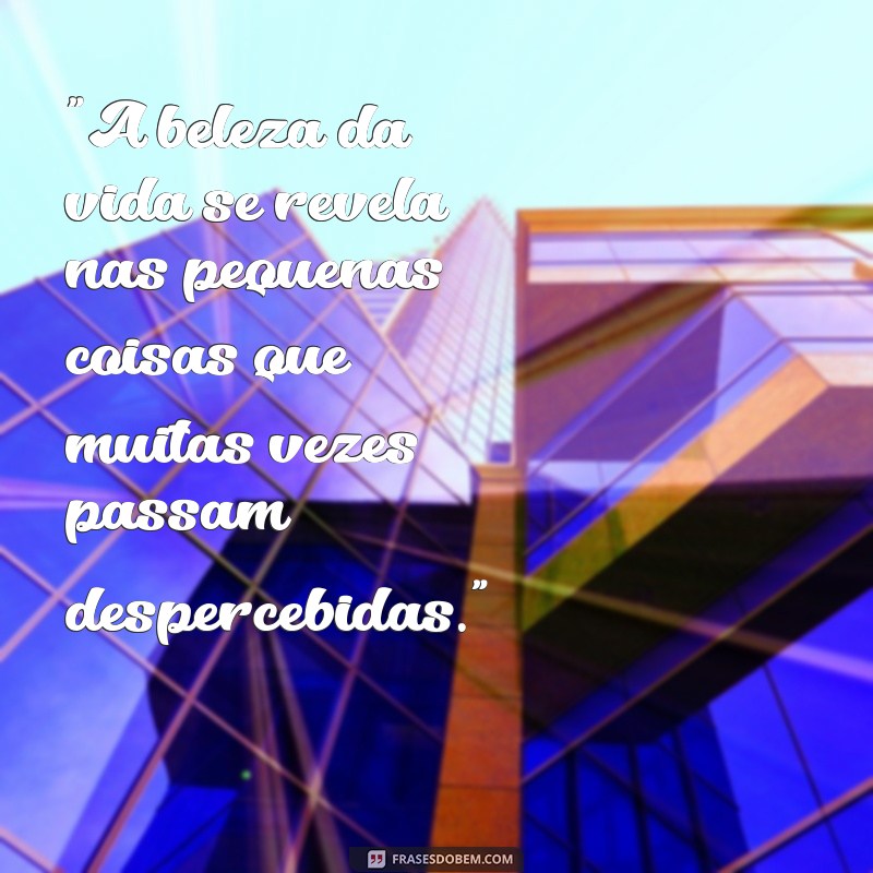 reflexão frases bonitas 