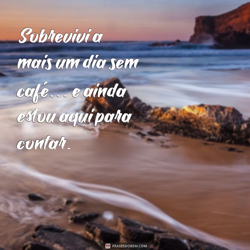 As Melhores Frases Engraçadas para Transformar Sua Bio em um Sucesso 