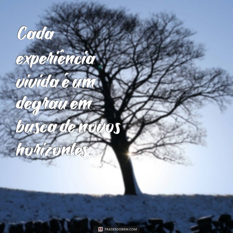 Descubra Novos Horizontes: Como Expandir Seus Limites e Viver Novas Experiências 