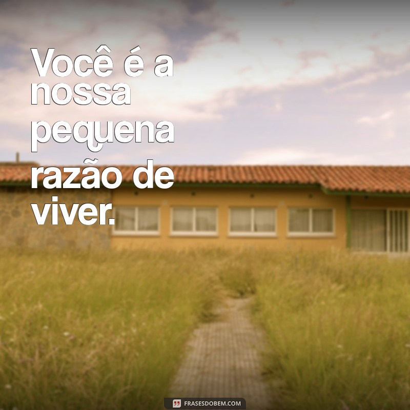 Frases Inspiradoras para Celebrar os 6 Meses do Seu Bebê 