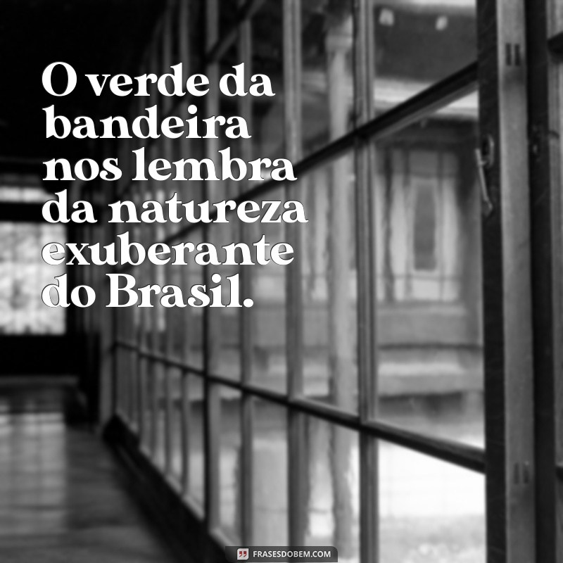 Frases Inspiradoras da Bandeira do Brasil: Significado e Reflexões 