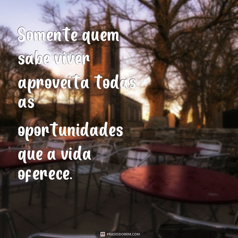 Descubra as melhores frases sobre a vida e aprenda a viver intensamente 