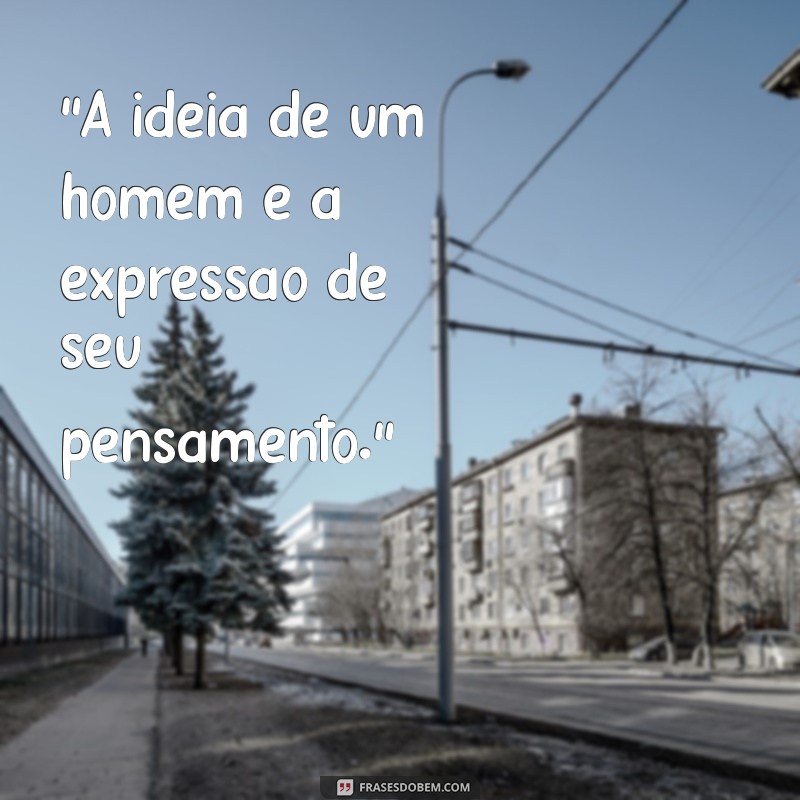 frases de rui barbosa 