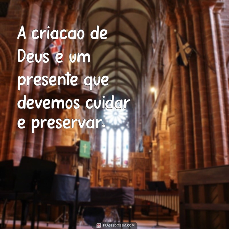 Descubra as mais belas frases sobre a criação divina de Deus 