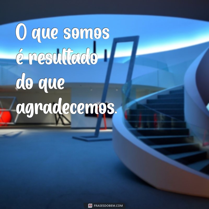 50 Legendas Inspiradoras de Gratidão para Suas Fotos 