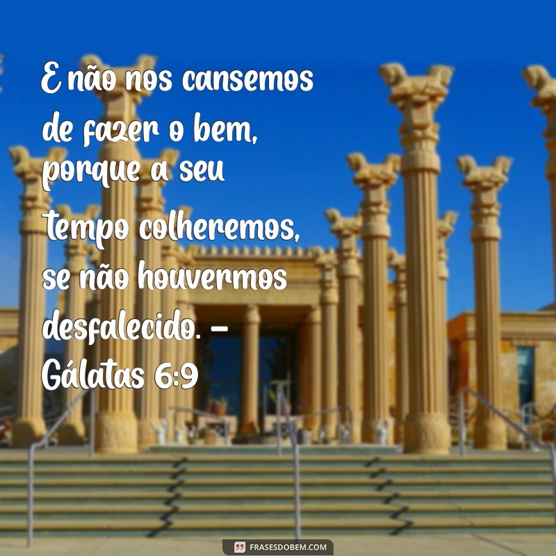 Frases Inspiradoras do Dia na Bíblia: Reflexões para a Sua Alma 