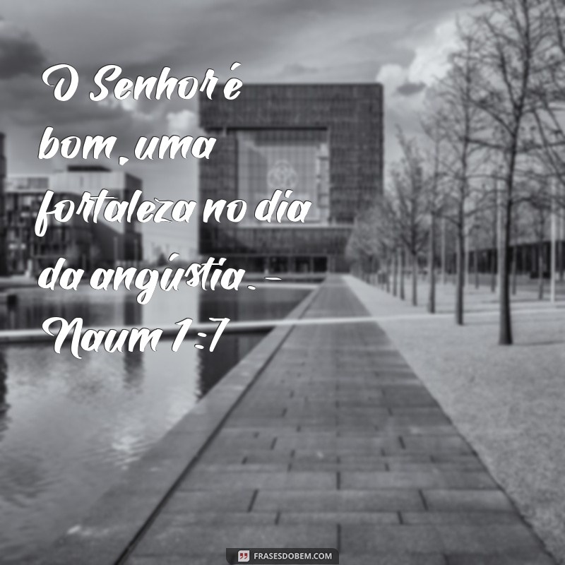 Frases Inspiradoras do Dia na Bíblia: Reflexões para a Sua Alma 