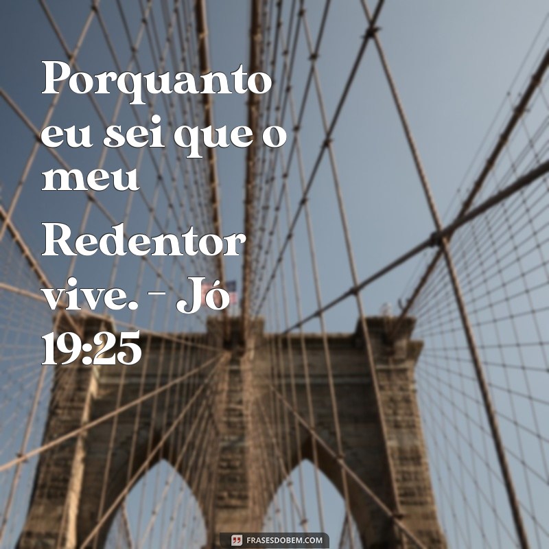 Frases Inspiradoras do Dia na Bíblia: Reflexões para a Sua Alma 