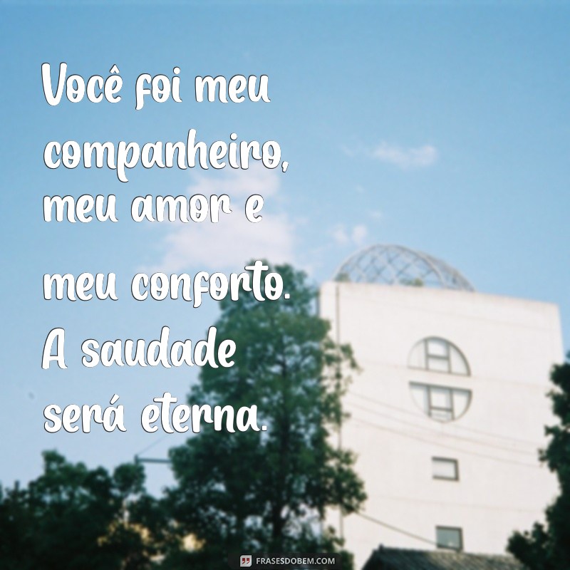 Como Lidar com a Perda de um Pet: Mensagens e Homenagens para o Seu Amigo Fiel 