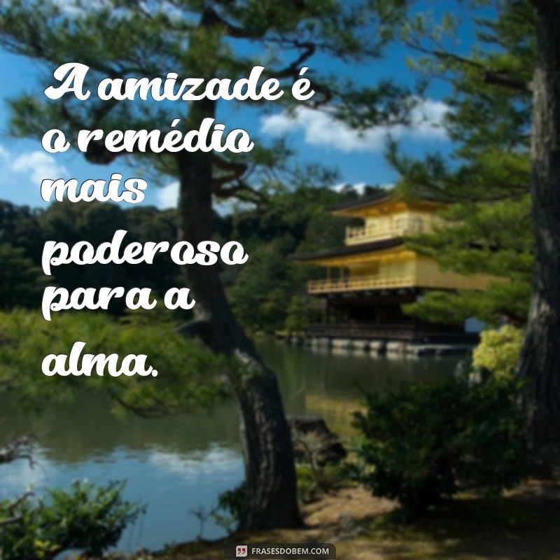 As Melhores Frases para Celebrar o Dia do Amigo: Inspire-se e Compartilhe! 