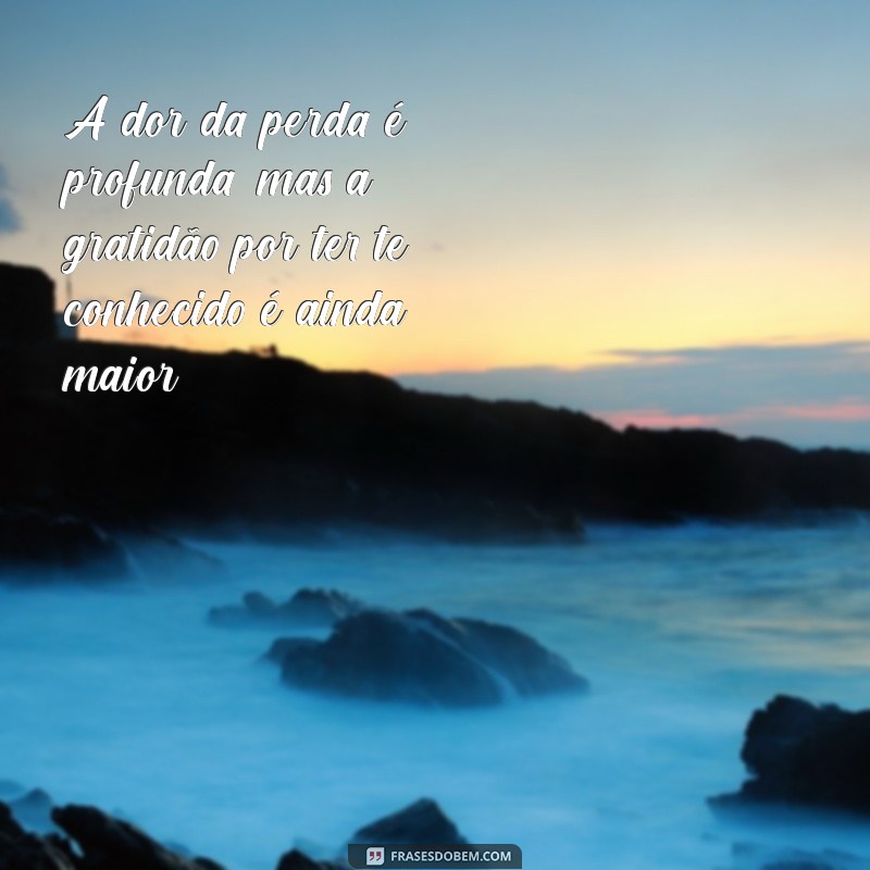 Como Lidar com a Perda: Mensagens de Conforto e Sentimento 