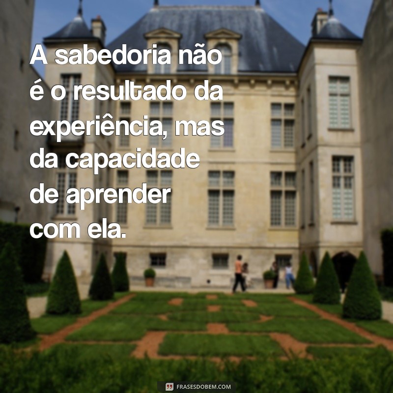 mensagem de palavras sábias A sabedoria não é o resultado da experiência, mas da capacidade de aprender com ela.