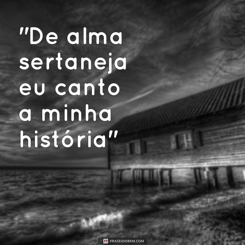 frases raiz sertaneja 