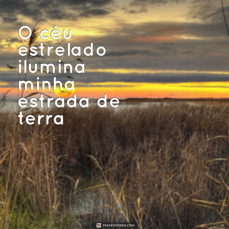 Descubra as melhores frases raiz sertanejas para se inspirar e se emocionar 