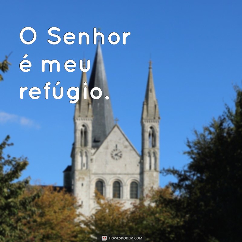 o senhor e meu O Senhor é meu refúgio.