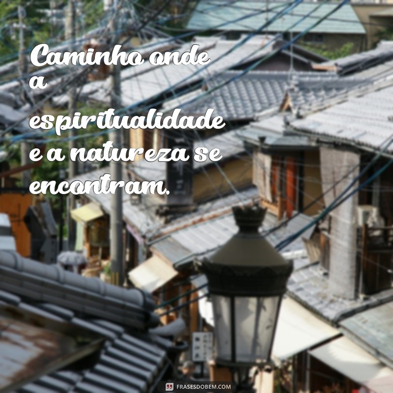 Frases Inspiradoras de Candomblé para Status: Conecte-se com a Espiritualidade 