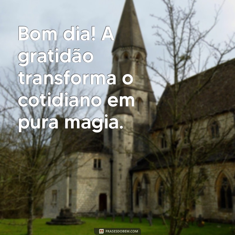 bom dia gratidão sempre Bom dia! A gratidão transforma o cotidiano em pura magia.