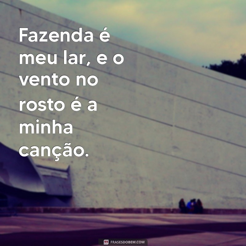 As Melhores Frases de Vaqueira para Inspirar e Compartilhar 