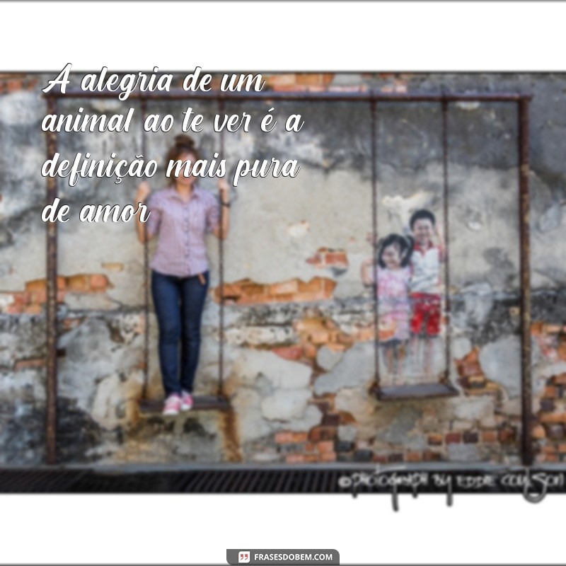 Frases Inspiradoras sobre Amor e Animais: Celebre a Conexão entre Humanos e Pets 