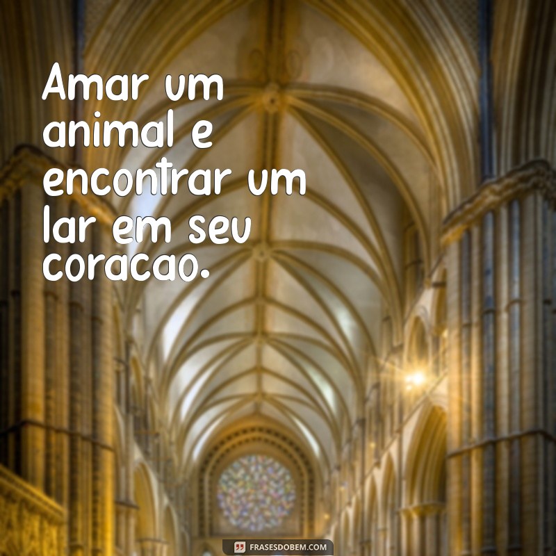 Frases Inspiradoras sobre Amor e Animais: Celebre a Conexão entre Humanos e Pets 