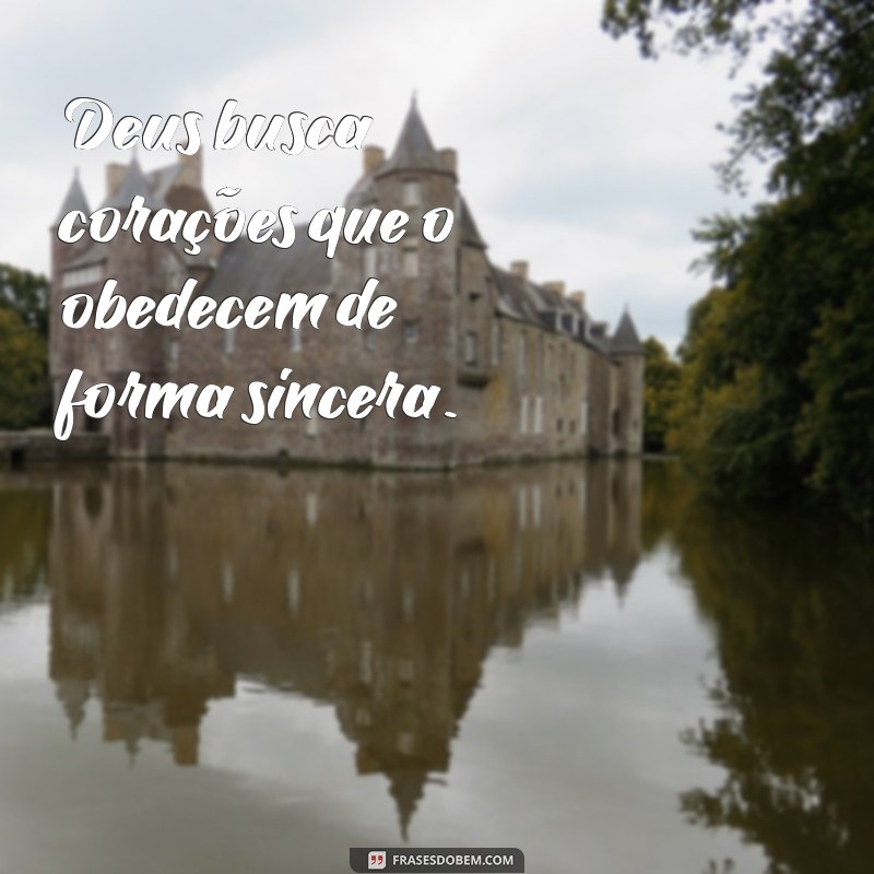 Obedecer na Bíblia: Entenda o Valor da Obediência nas Escrituras Sagradas 