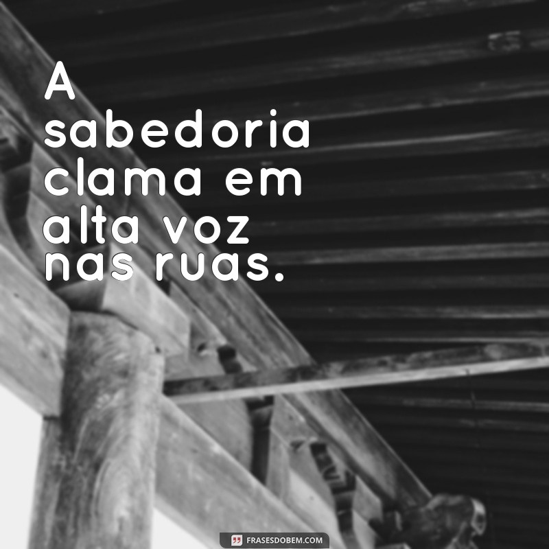 Frases Bíblicas Inspiradoras: Lições e Provérbios para o Dia a Dia 