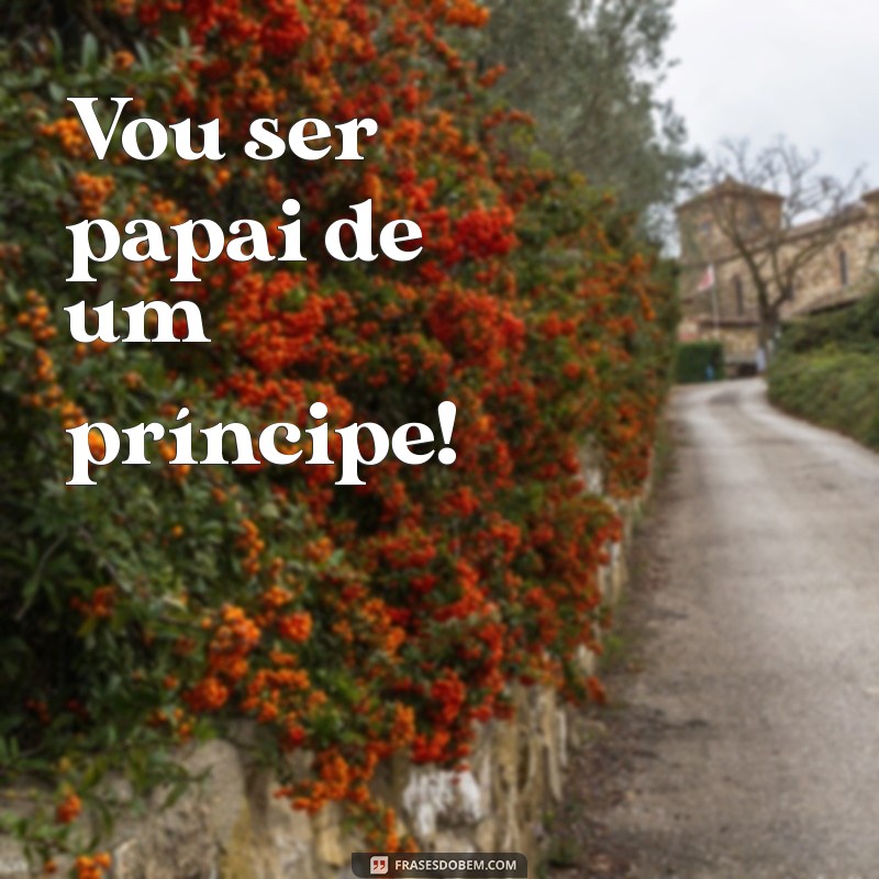 vou ser papai de um príncipe Vou ser papai de um príncipe!