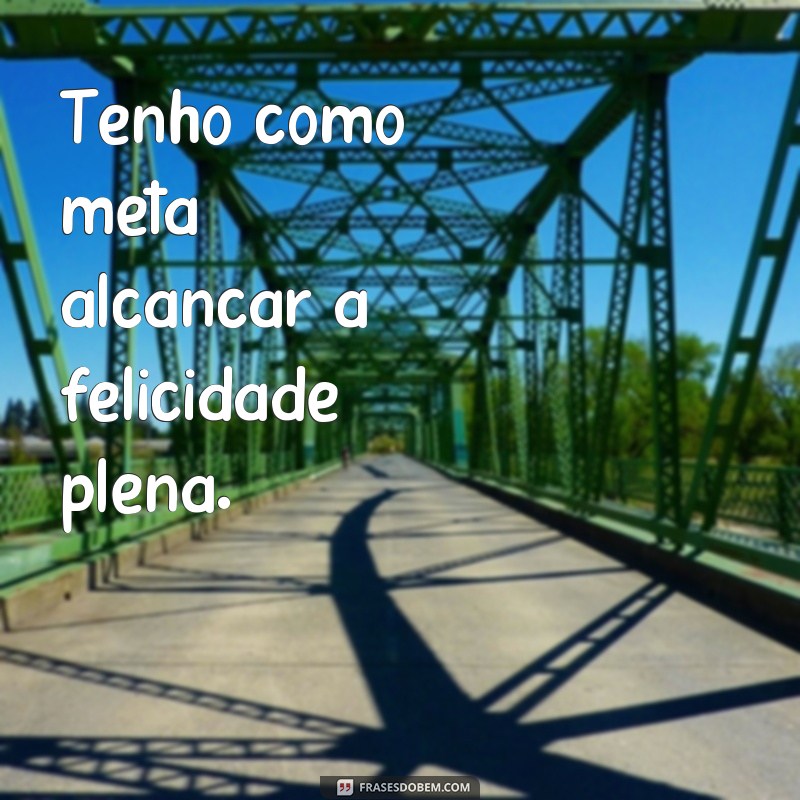 frases de metas e sonhos Tenho como meta alcançar a felicidade plena.