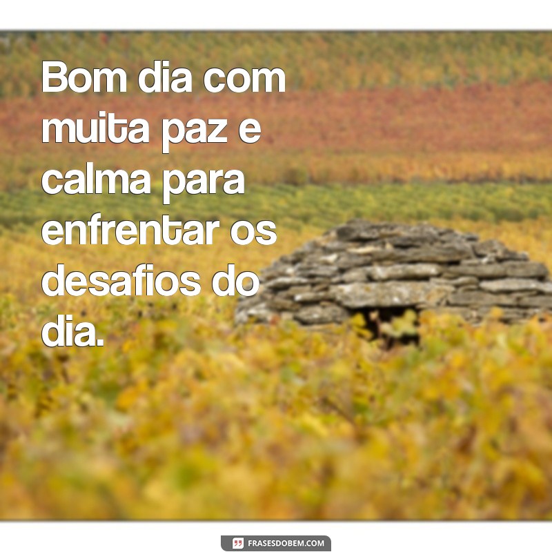 Descubra as melhores frases de paz para começar o dia com positividade 