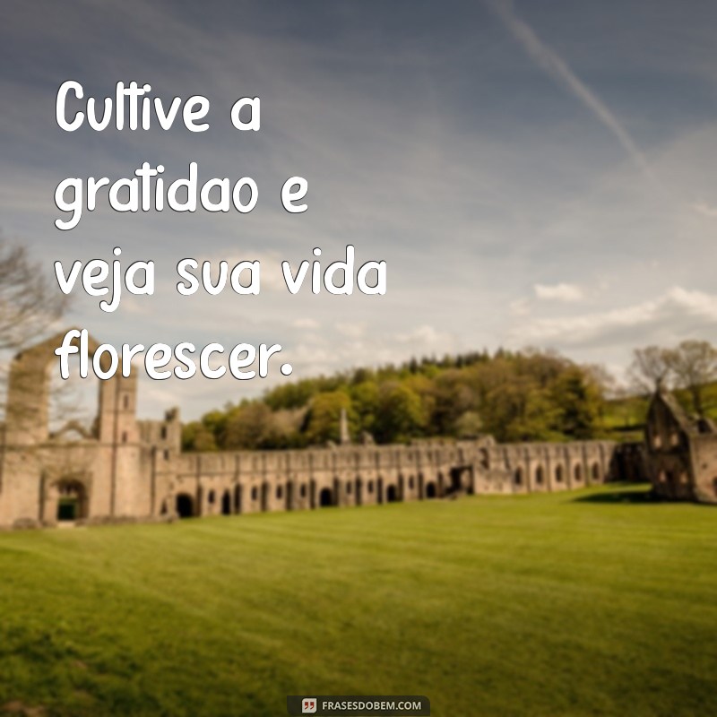 Frases Inspiradoras para Demonstrar que Estou Pensando em Você 