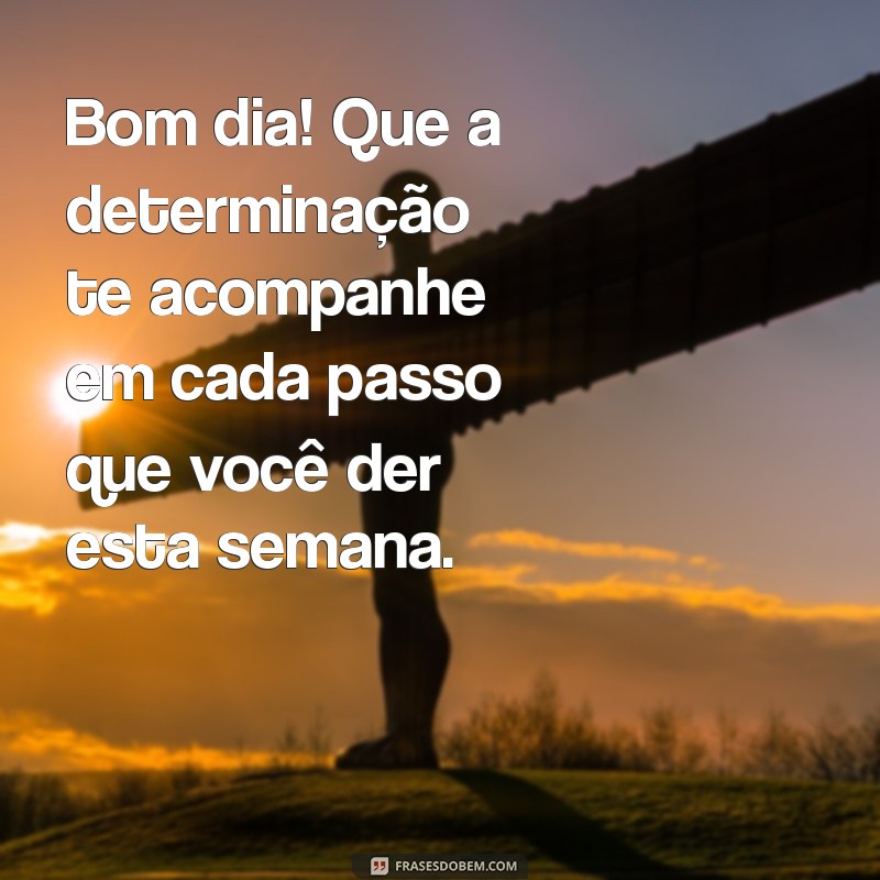 Mensagens Inspiradoras de Bom Dia para Começar a Semana com Positividade 