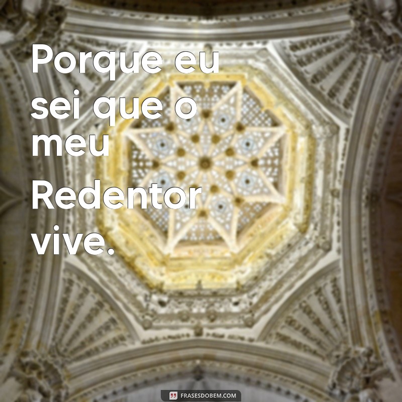 jó 19:25 Porque eu sei que o meu Redentor vive.