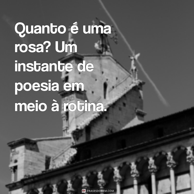 Descubra o Preço da Rosa: Tudo o que Você Precisa Saber 