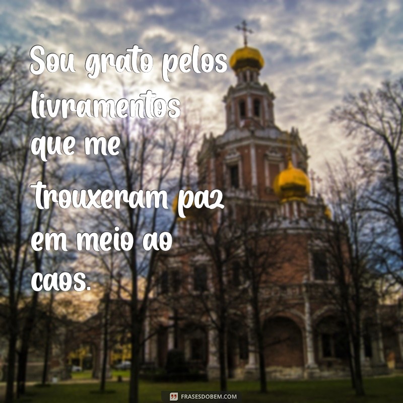 Frases de Agradecimento a Deus: Mensagens Inspiradoras de Livramento 