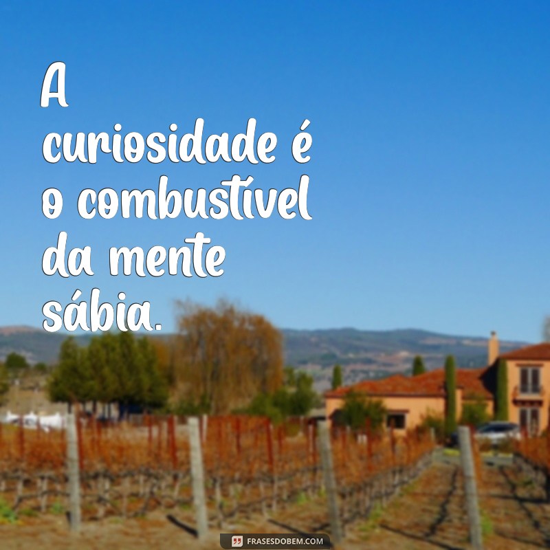 Frases Inspiradoras sobre Sabedoria e Conhecimento para Refletir e Aprender 