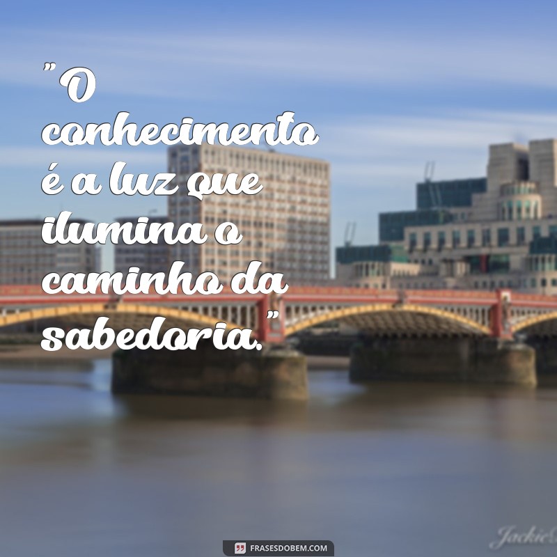 frases sobre sabedoria e conhecimento 