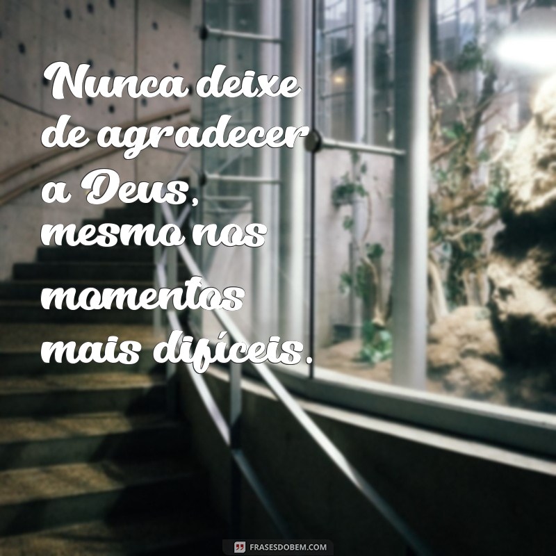 Descubra as melhores frases inspiradoras do Padre Léo para renovar sua fé 