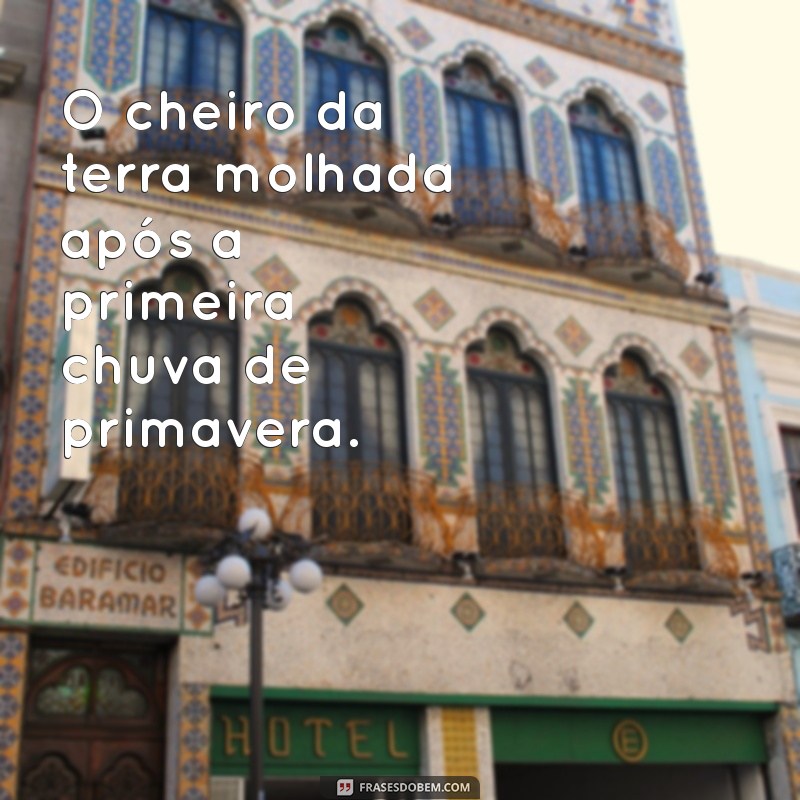 lembranças e memorias O cheiro da terra molhada após a primeira chuva de primavera.