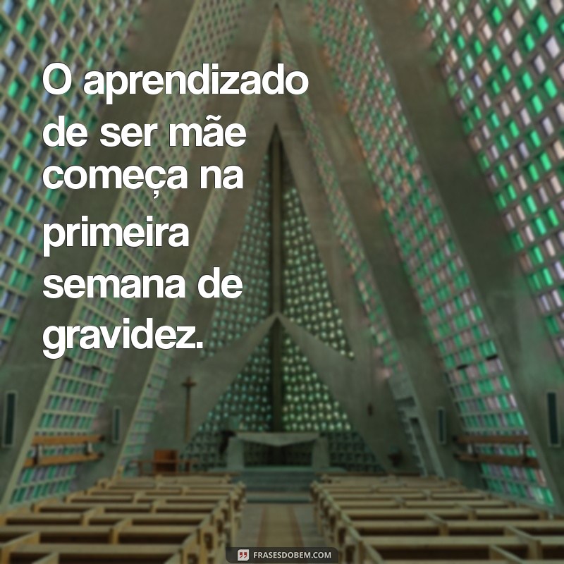 Frases Inspiradoras sobre Gravidez: Reflexões e Mensagens para Gestantes 