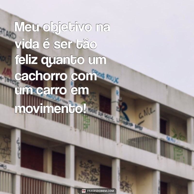 As Melhores Frases Engraçadas do Tio para Alegrar Seu Dia 