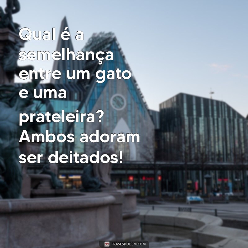 As Melhores Frases Engraçadas do Tio para Alegrar Seu Dia 