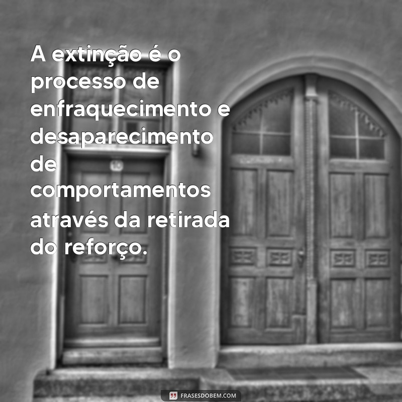 Descubra as melhores frases de psicologia comportamental para entender a mente humana 