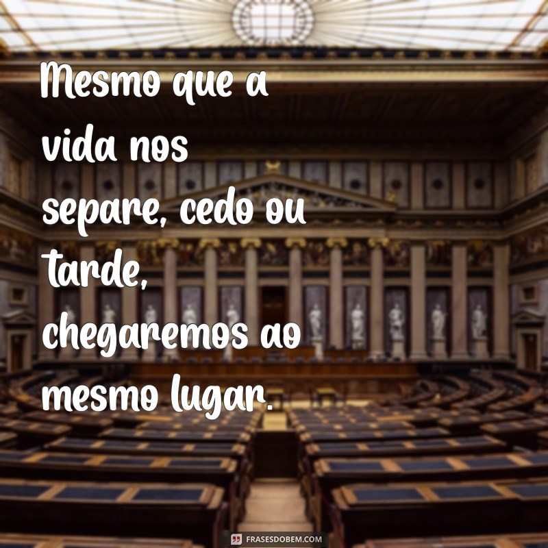 Encontro Destinado: A Verdade Sobre Cedo ou Tarde Vamos Nos Encontrar 