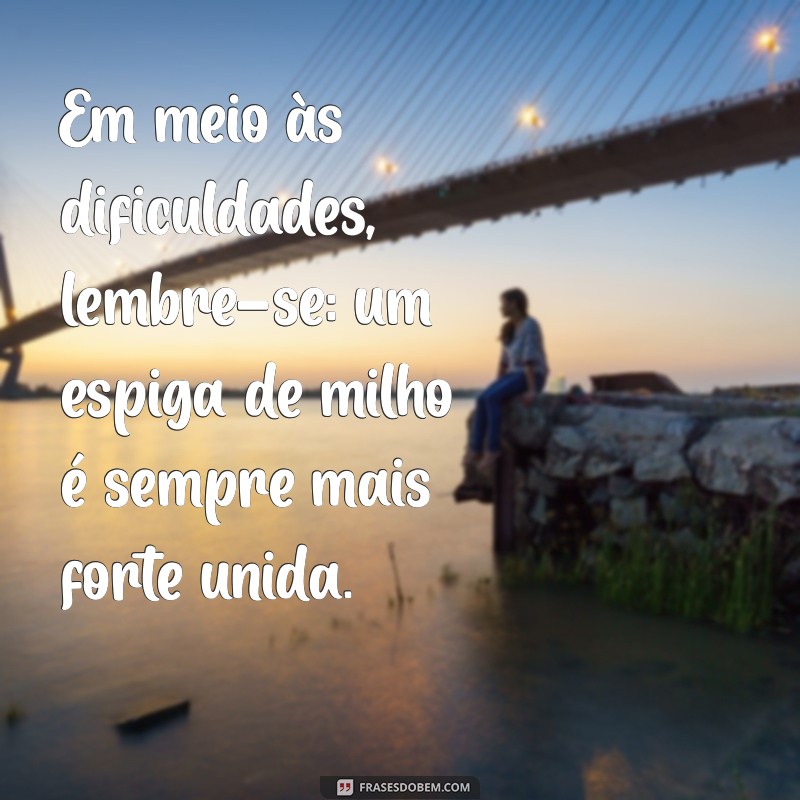 As Melhores Frases de Milho para Celebrar a Colheita e a Tradição 