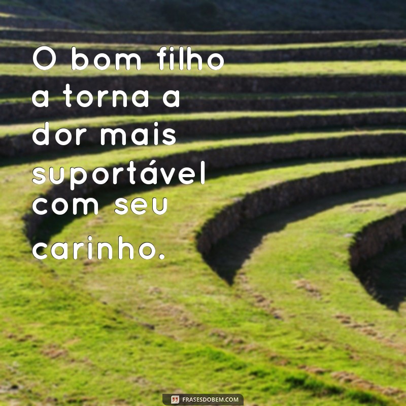 Frases Inspiradoras sobre o Bom Filho: Reflexões e Lições 