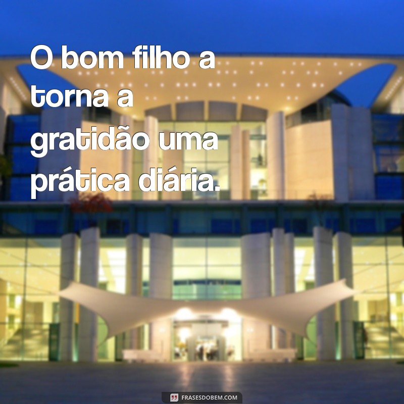 Frases Inspiradoras sobre o Bom Filho: Reflexões e Lições 