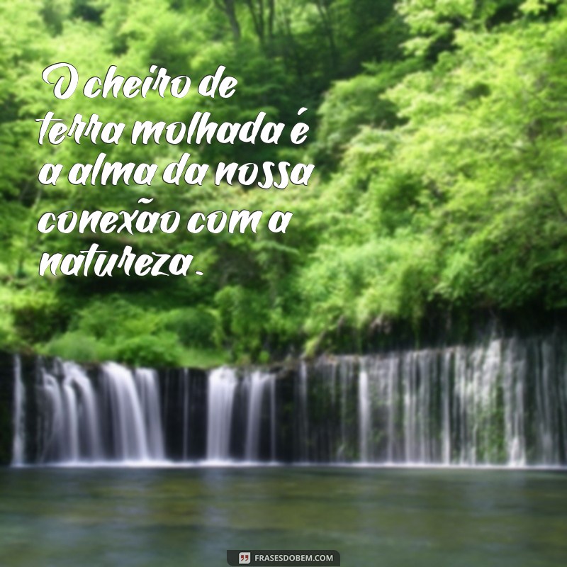 Frases Inspiradoras para Celebrar a Vida na Fazenda: Conecte-se com a Natureza 