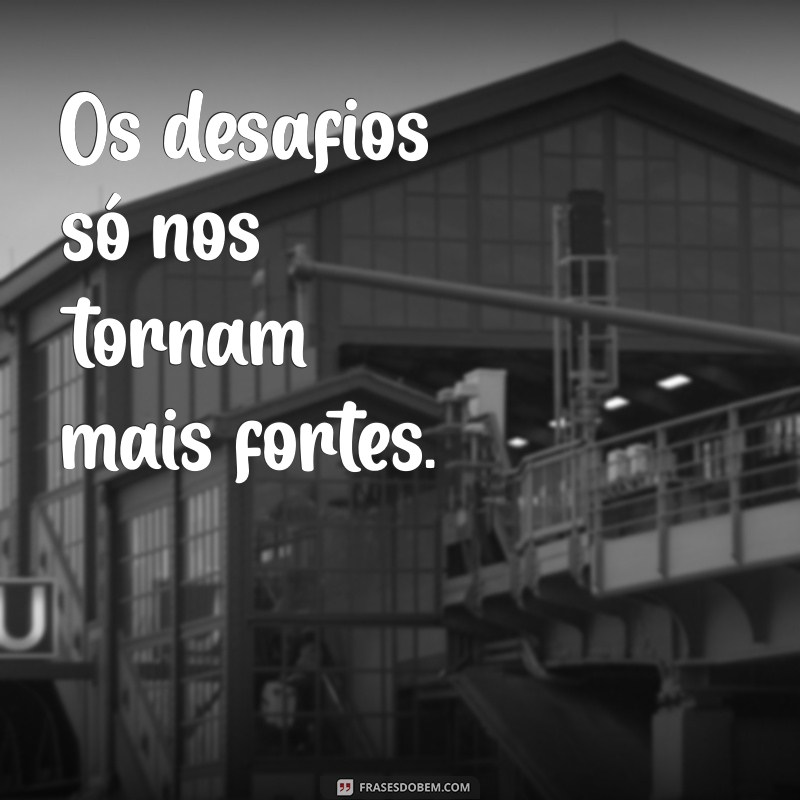 As Melhores Frases do Shrek: Inspirações e Risadas para Todas as Idades 