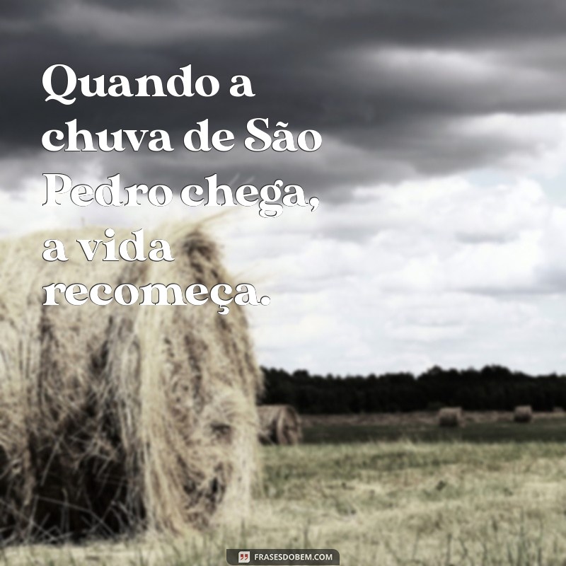 São Pedro e a Chuva: Curiosidades e Significados sobre o Santo das Tempestades 