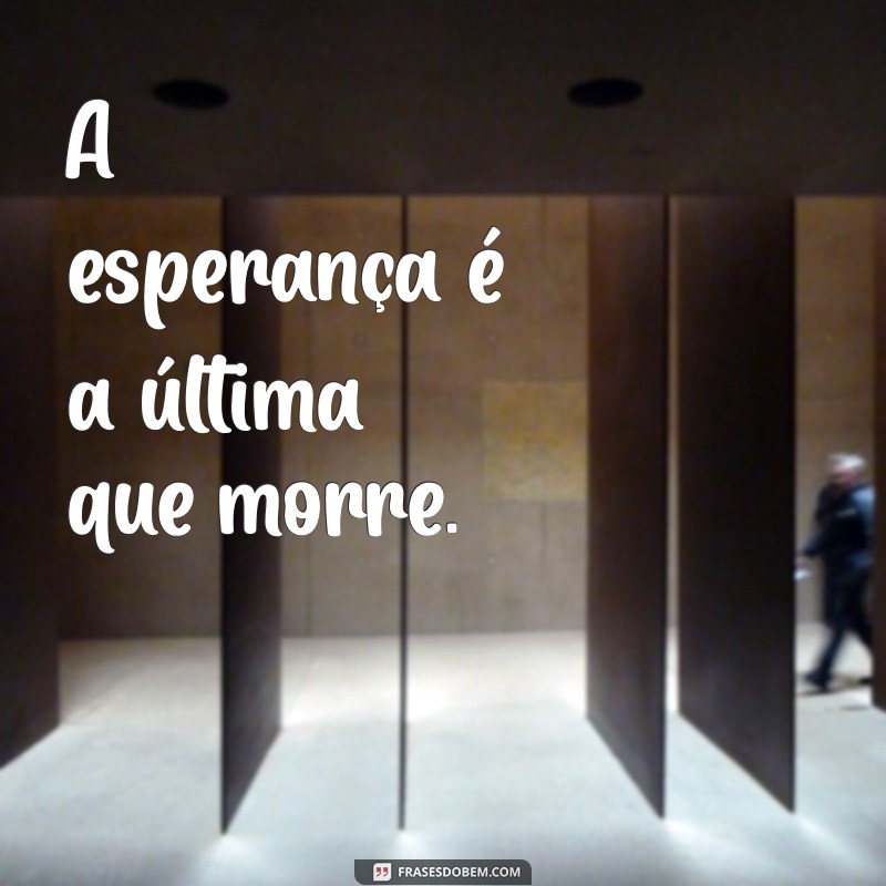 frases feita A esperança é a última que morre.